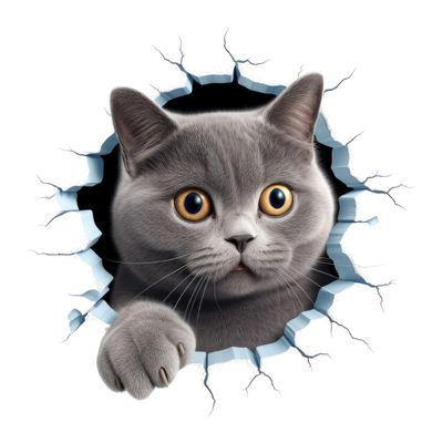 GRAZDesign Cat Wall Crack Decal – Fun Wall Opening Effect, Kids' Room or Living Room, 30 x 30 cm