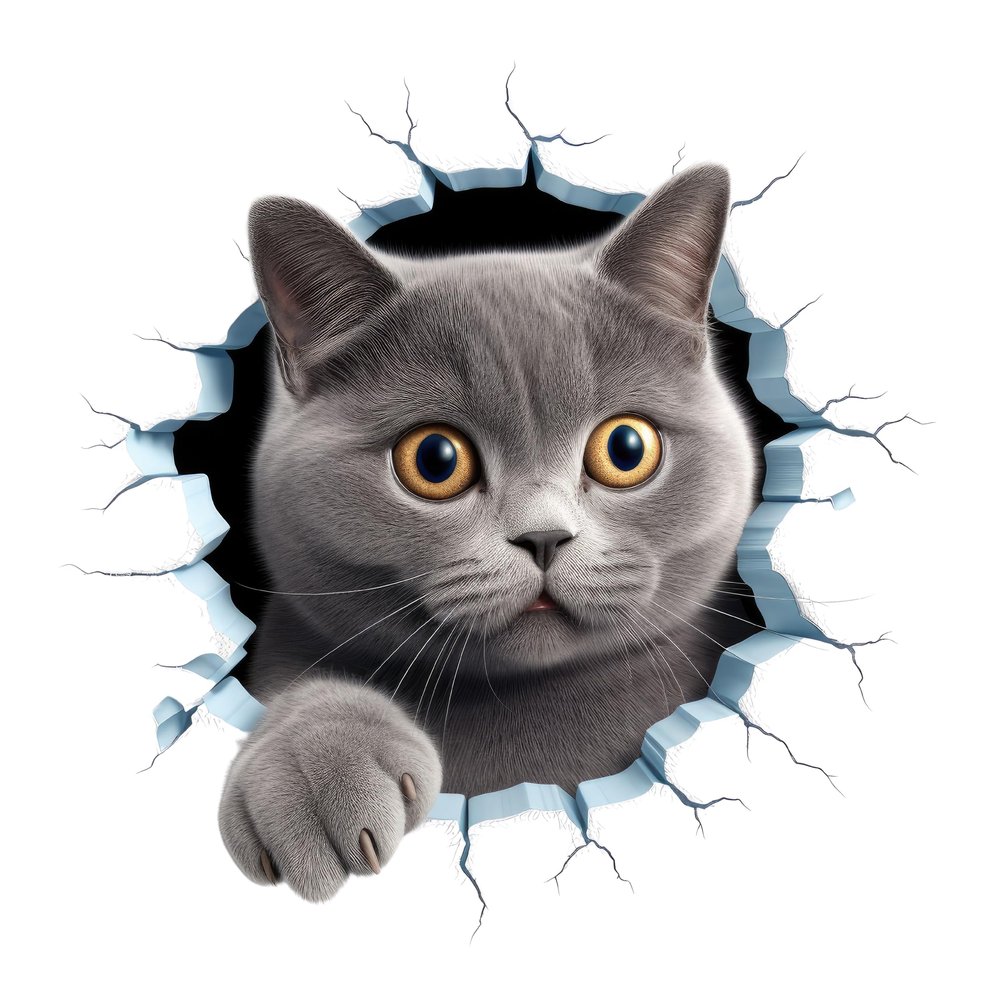 GRAZDesign Cat Wall Crack Decal – Fun Wall Opening Effect, Kids' Room or Living Room, 30 x 30 cm
