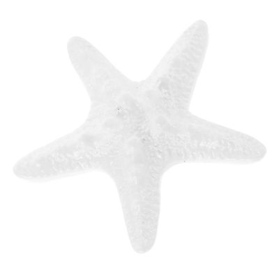 DECHOUS Starfish Refrigerator Magnet