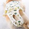 Teddy Cotton Shorts for Female Dogs view 4