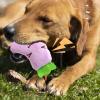 Bexdug Squeaky Toy for Dogs - Vegetable Shaped view 2