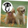 Housoutil Dog Helmet Safety Hat for Pets, Sturdy Adjustable Helmet for Puppies view 2