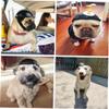 Beavorty Pet Helmet view 4