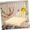Parrot Standing Platform for Cages, Large Perching Area view 4