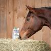 NEW! EWALIA Digestive Vital Juice for Horses, 3 x 1 L view 4