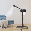 Professional Facial Steamer with Ozone and Hot Steam, LCD Display, for Salon and Home Use view 2