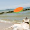 JOROBURO Dog Flying Disc Toy for Training and Interactive Play view 3