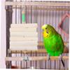 DOITOOL Hanging Chew Toy for Parrots and Birds view 4