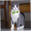 HAPINARY Adjustable Nylon Collar for Puppies view 3