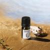 INCENS Gold Coast Series Essential Oil Set view 3