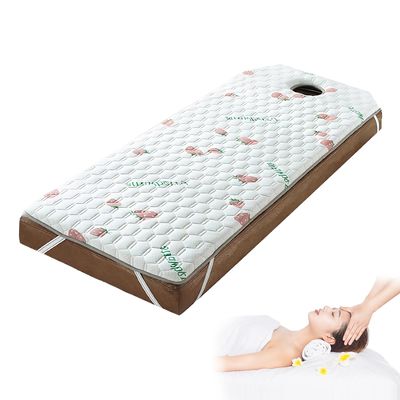 LXJDDLD Spa Massage Table Pad with Face Hole, 4 cm, T 70 x 190 cm