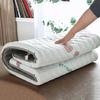 LXJDDLD Spa Massage Table Pad with Face Hole, 4 cm, T 70 x 190 cm view 2