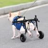 Adjustable Dog Wheelchair for Hind-Leg Support, Lightweight 2-Wheel Cart view 2