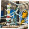 Beavorty Parrot Chew Toy view 4