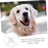 Beavorty 4-Piece Durable Dog Chew Toys view 4