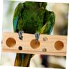 Beavorty Parakeet Toy Perch view 4