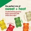 Snak Club Tajín Gummy Bears, Assorted Fruit Candies with Chili-Lime Seasoning, Mild, Gluten-Free and Vegan Snacks, 266 mL Resealable Bag view 4