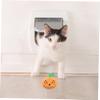 Beavorty Pumpkin Toy for Cats view 4