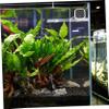 FOMIYES Digital Aquarium Thermometer for Fish and Reptile Tanks view 3