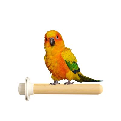 Bird Clothes Hanger, Toy for Breeders, Non-Slip Stick for Parrots, Wood Stick for Parrot Teething, Accessories for Birds for Chickens and Parrots Cenmoo