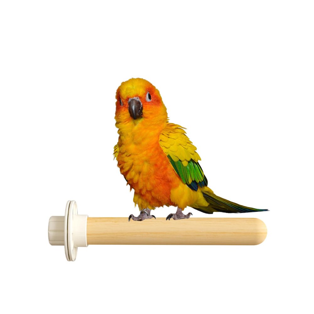 Bird Clothes Hanger, Toy for Breeders, Non-Slip Stick for Parrots, Wood Stick for Parrot Teething, Accessories for Birds for Chickens and Parrots Cenmoo