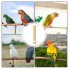 Bird Clothes Hanger, Toy for Breeders, Non-Slip Stick for Parrots, Wood Stick for Parrot Teething, Accessories for Birds for Chickens and Parrots Cenmoo view 4