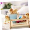 Beavorty Wooden Indoor Chicken Stand and Parrot Perch view 2