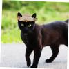 Beavorty Adjustable Dog Straw Hat view 3
