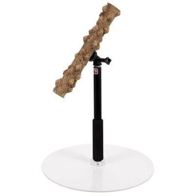 Parrot Bird Perch Stand with Sturdy Metal Base