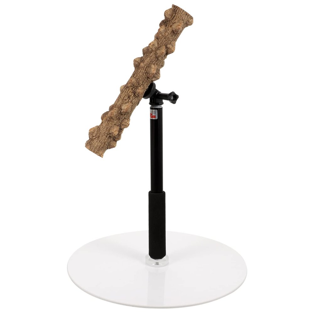 Parrot Bird Perch Stand with Sturdy Metal Base