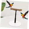 Parrot Bird Perch Stand with Sturdy Metal Base view 4