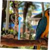 Beavorty 10 Pack Plastic Birdcage Perches view 4