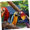 Housoutil Hanging Bird Stand for Parrots and Birds view 2