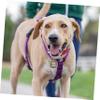 Housoutil Engraved Zinc Alloy Pet Tag for Dogs and Cats view 2