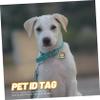 Housoutil Engraved Zinc Alloy Pet Tag for Dogs and Cats view 4