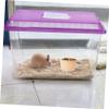 Beavorty Small Animal Food Bowl view 3