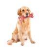 HAPINARY Dog Toy with Dental Care Function, Durable and Interactive view 4