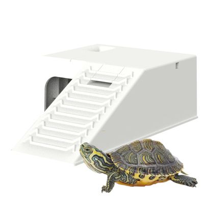 Aznever Turtle Platform - Durable Reptile Hideout