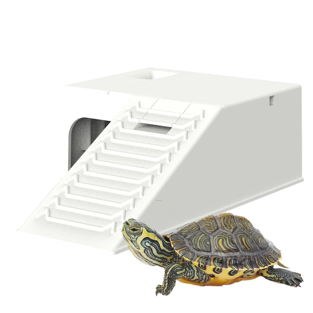 Aznever Turtle Platform - Durable Reptile Hideout