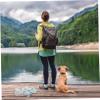 Beavorty Dog Summer Hoodie view 4