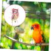 Beavorty Hanging Chew Toy for Birds view 3