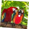 Beavorty 2-Piece Bird Flight Suit with Diaper and Bow, Reusable Bird Clothing for Parrots and Small Birds view 4