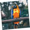 FOMIYES Bird Diaper for Parrots and Budgies view 2