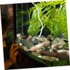 Angoily Silent and Efficient USB Aquarium Pump view 3
