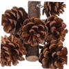 DOITOOL Hanging Parrot Toy with Pine Cones, Wood, and Metal view 2