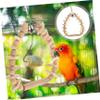DOITOOL Wooden Bird Toy, Durable Parrot Swing for Cages, Fun Chew Toy, Promotes Activity and Reduces Stress view 2