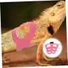 Angoily Reptile Harness and Leash view 2