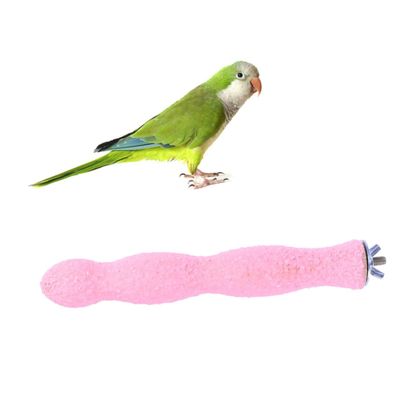 20 cm Bird Claw Perch with Natural Wood and Sanding Surface