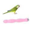 20 cm Bird Claw Perch with Natural Wood and Sanding Surface view 1