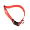 Biothane Dog Collar in Neon Orange view 1